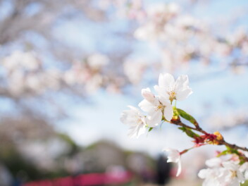 きたやまのひとりごと・・・